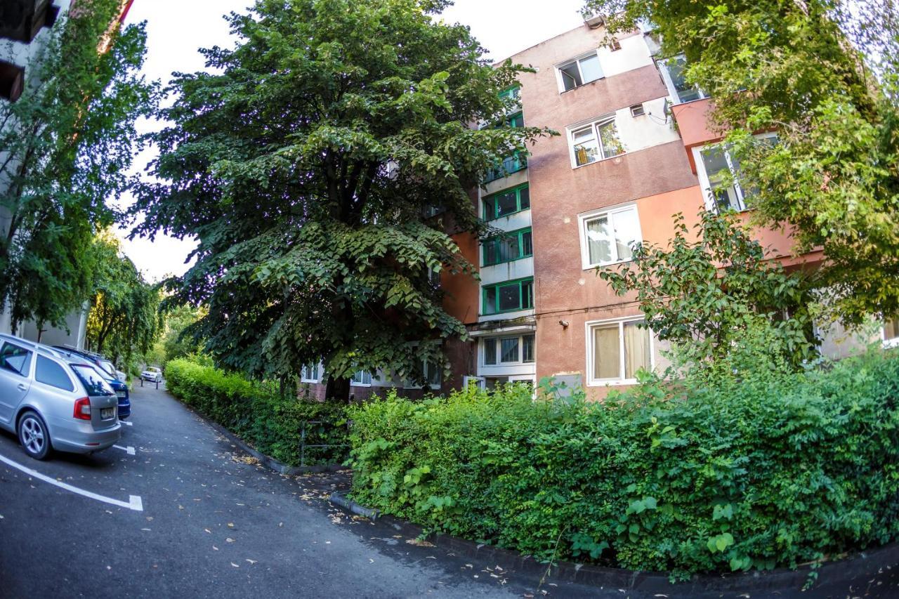 Apartament Family Rivulus 8 Бая-Маре Екстер'єр фото